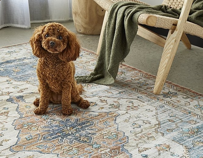 The use of hand-woven rugs for pet owners